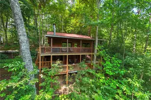 203 Mountain View Dr, Cherry Log, GA 30522 - Photo 26