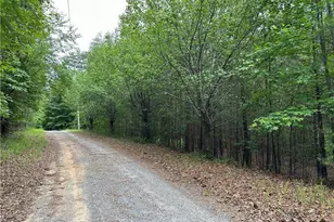585 Galaxy Way, Ranger, GA 30734 - Photo 1