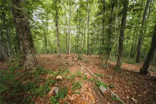 2197 Damascus Rd, Ball Ground, GA 30107 - Photo 38