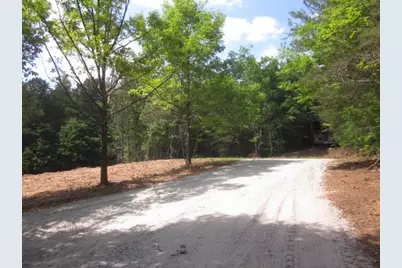 00 Hwy 136 W, Talking Rock, GA 30175 - Photo 12