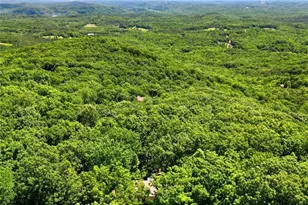 251 Panorama Point, Jasper, GA 30143 - Photo 64