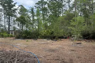 114 Jones Rd, Hortense, GA 31543 - Photo 18