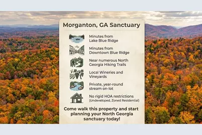 5 Goldmine Road, Morganton, GA 30560 - Photo 2