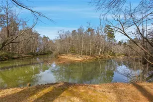 151 Ivy St, Demorest, GA 30535 - Photo 12