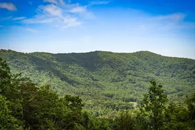 58 Overlook Way, Blue Ridge, GA 30513 - Photo 62