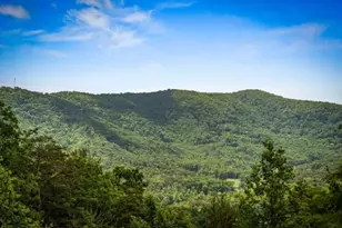 58 Overlook Way, Blue Ridge, GA 30513 - Photo 62