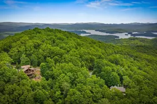 58 Overlook Way, Blue Ridge, GA 30513 - Photo 4