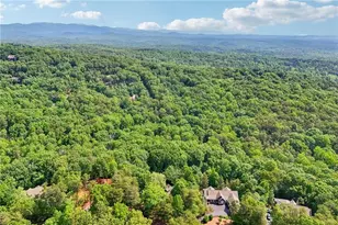 189 Red Trillium Ridge, Big Canoe, GA 30143 - Photo 88