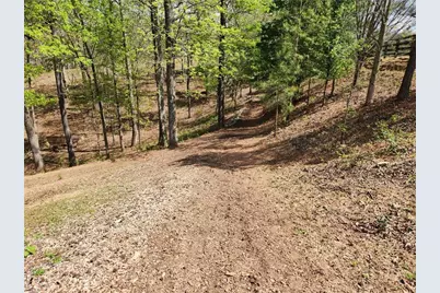 120 Grandview Drive, Ball Ground, GA 30107 - Photo 118
