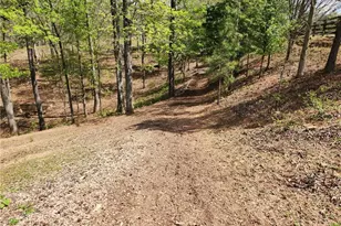 120 Grandview Dr, Ball Ground, GA 30107 - Photo 118