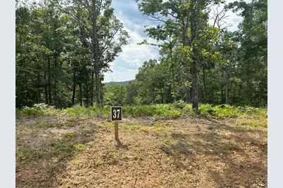 37 Blalock Mountain Road, Ellijay, GA 30540 - Photo 6