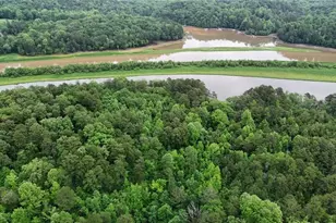 238 Shore Dr, Dahlonega, GA 30533 - Photo 24