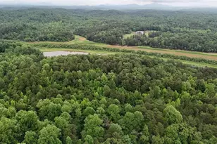 238 Shore Dr, Dahlonega, GA 30533 - Photo 24