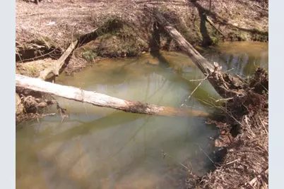 0000 Hwy 136- 11.31 Acres W, Talking Rock, GA 30175 - Photo 30
