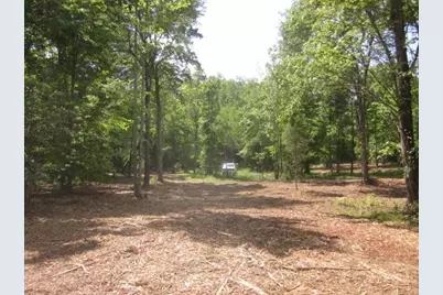 0000 Hwy 136- 11.31 Acres W, Talking Rock, GA 30175 - Photo 42