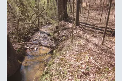 0000 Hwy 136- 11.31 Acres W, Talking Rock, GA 30175 - Photo 16