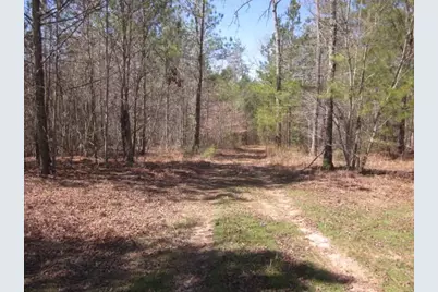 0000 Hwy 136- 11.31 Acres W, Talking Rock, GA 30175 - Photo 6