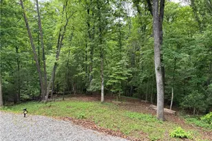 312 Aurum Hill Dr, Cleveland, GA 30528 - Photo 34