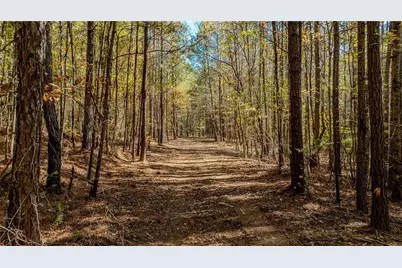 0 Jones Ferry Road, Chattahoochee Hills, GA 30268 - Photo 2