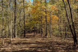 0 Jones Ferry Rd, Chattahoochee Hills, GA 30268 - Photo 1