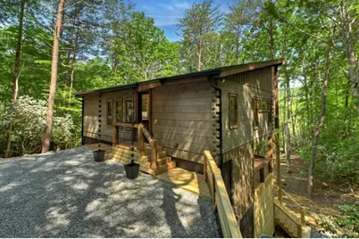 328 Crabapple Drive, Blue Ridge, GA 30513 - Photo 58