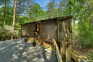 328 Crabapple Dr, Blue Ridge, GA 30513 - Photo 58