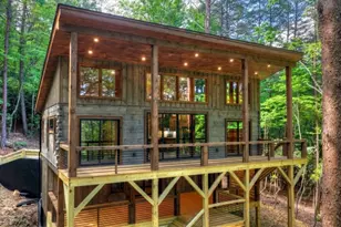 328 Crabapple Dr, Blue Ridge, GA 30513 - Photo 60
