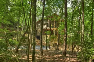 328 Crabapple Dr, Blue Ridge, GA 30513 - Photo 62