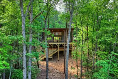 328 Crabapple Drive, Blue Ridge, GA 30513 - Photo 56