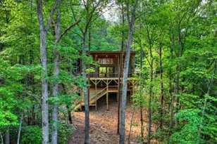 328 Crabapple Dr, Blue Ridge, GA 30513 - Photo 56