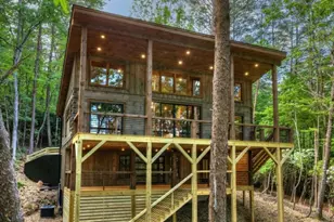 328 Crabapple Dr, Blue Ridge, GA 30513 - Photo 46