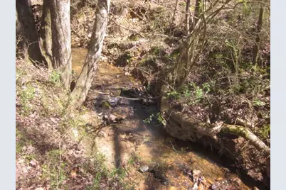 000 Hwy 136 -16.62 Acres W, Talking Rock, GA 30175 - Photo 14