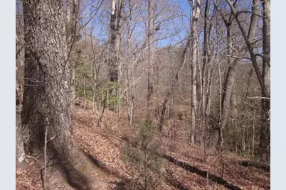 000 Hwy 136 -16.62 Acres W, Talking Rock, GA 30175 - Photo 18