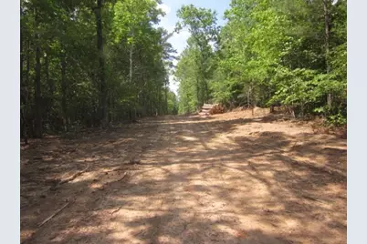 000 Hwy 136 -16.62 Acres W, Talking Rock, GA 30175 - Photo 40