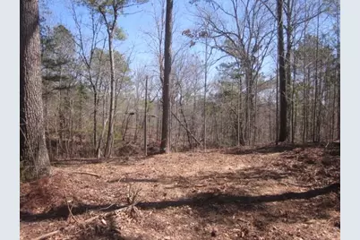 000 Hwy 136 -16.62 Acres W, Talking Rock, GA 30175 - Photo 8