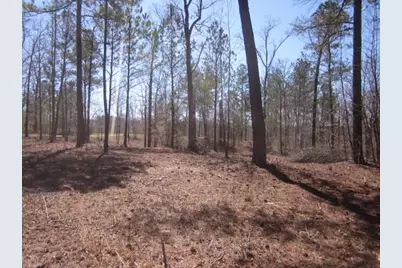 000 Hwy 136 -16.62 Acres W, Talking Rock, GA 30175 - Photo 6
