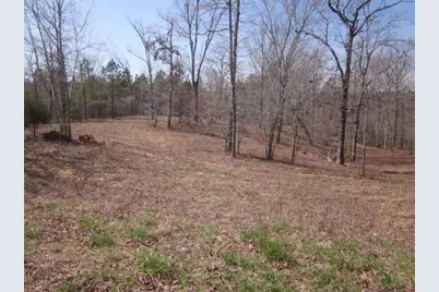 000 Hwy 136 -16.62 Acres W, Talking Rock, GA 30175 - Photo 36