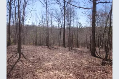 000 Hwy 136 -16.62 Acres W, Talking Rock, GA 30175 - Photo 24