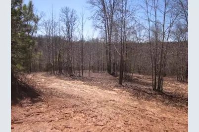 000 Hwy 136 -16.62 Acres W, Talking Rock, GA 30175 - Photo 20