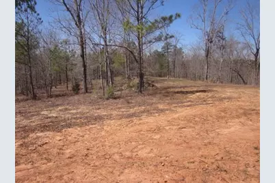 000 Hwy 136 -16.62 Acres W, Talking Rock, GA 30175 - Photo 22