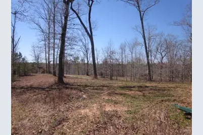 000 Hwy 136 -16.62 Acres W, Talking Rock, GA 30175 - Photo 12