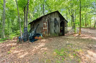 3501 Looper Lake Rd, Gainesville, GA 30506 - Photo 34