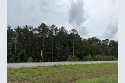 000 Cowan Drive, Cartersville, GA 30120 - Photo 1