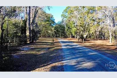 Tract3 S Newport Drive NE, Townsend, GA 31331 - Photo 38