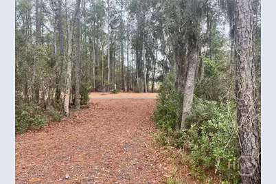 Tract4 S Newport Drive NE, Townsend, GA 31331 - Photo 14