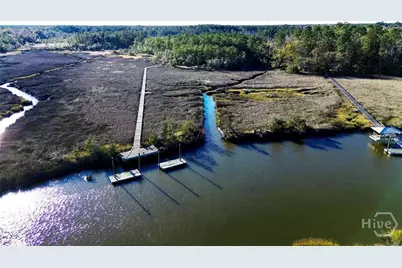 Tract4 S Newport Drive NE, Townsend, GA 31331 - Photo 2