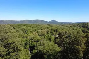 348 S Woods Ct, Jasper, GA 30143 - Photo 10