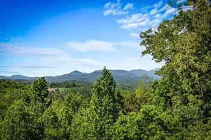 479 Big Timber Rd, Mineral Bluff, GA 30559 - Photo 1