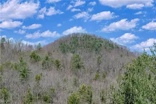 204 Fortenberry Creek Rd, Blairsville, GA 30512 - Photo 20
