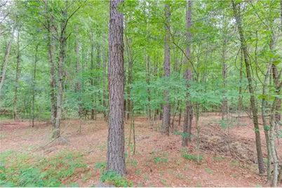 506 Bill Watkins Road, Hoschton, GA 30548 - Photo 60